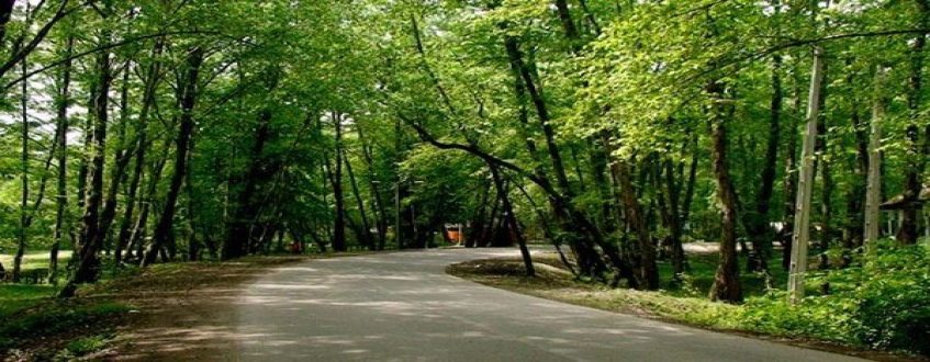 پارک جنگلی چیتگر در منطقه 22 تهران